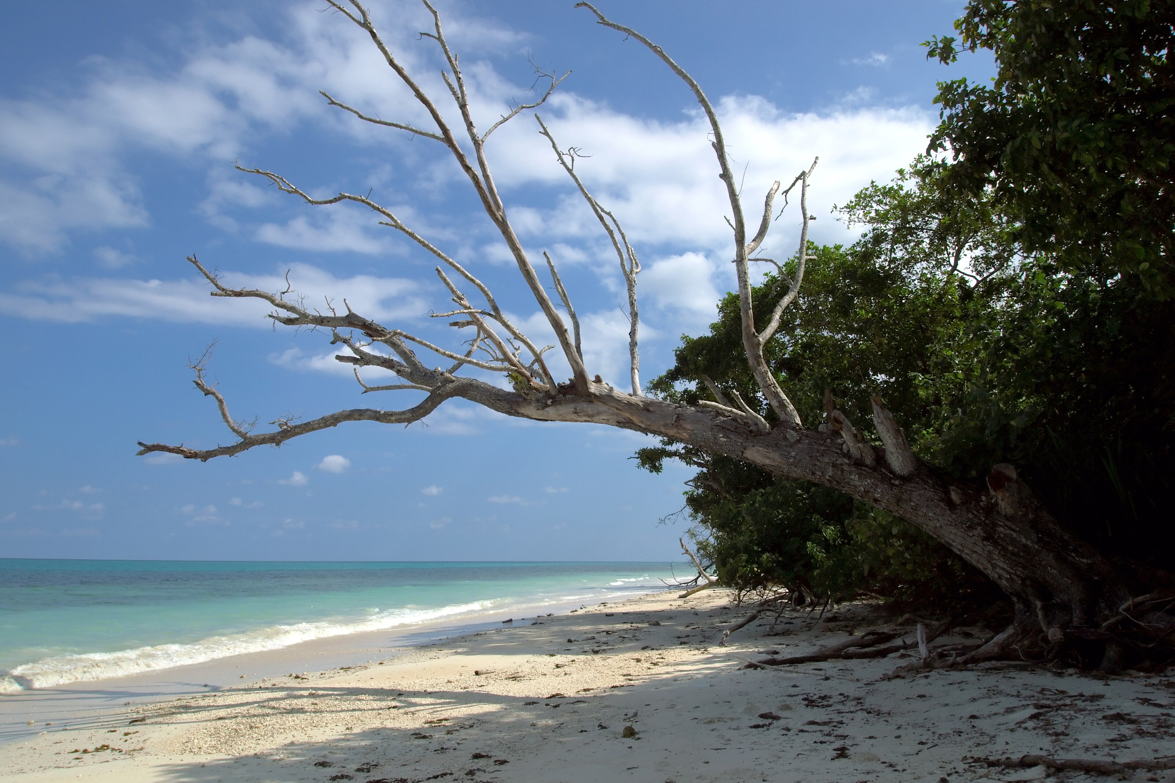 Mystery Mountains dive site — reef near Havelock, Andaman