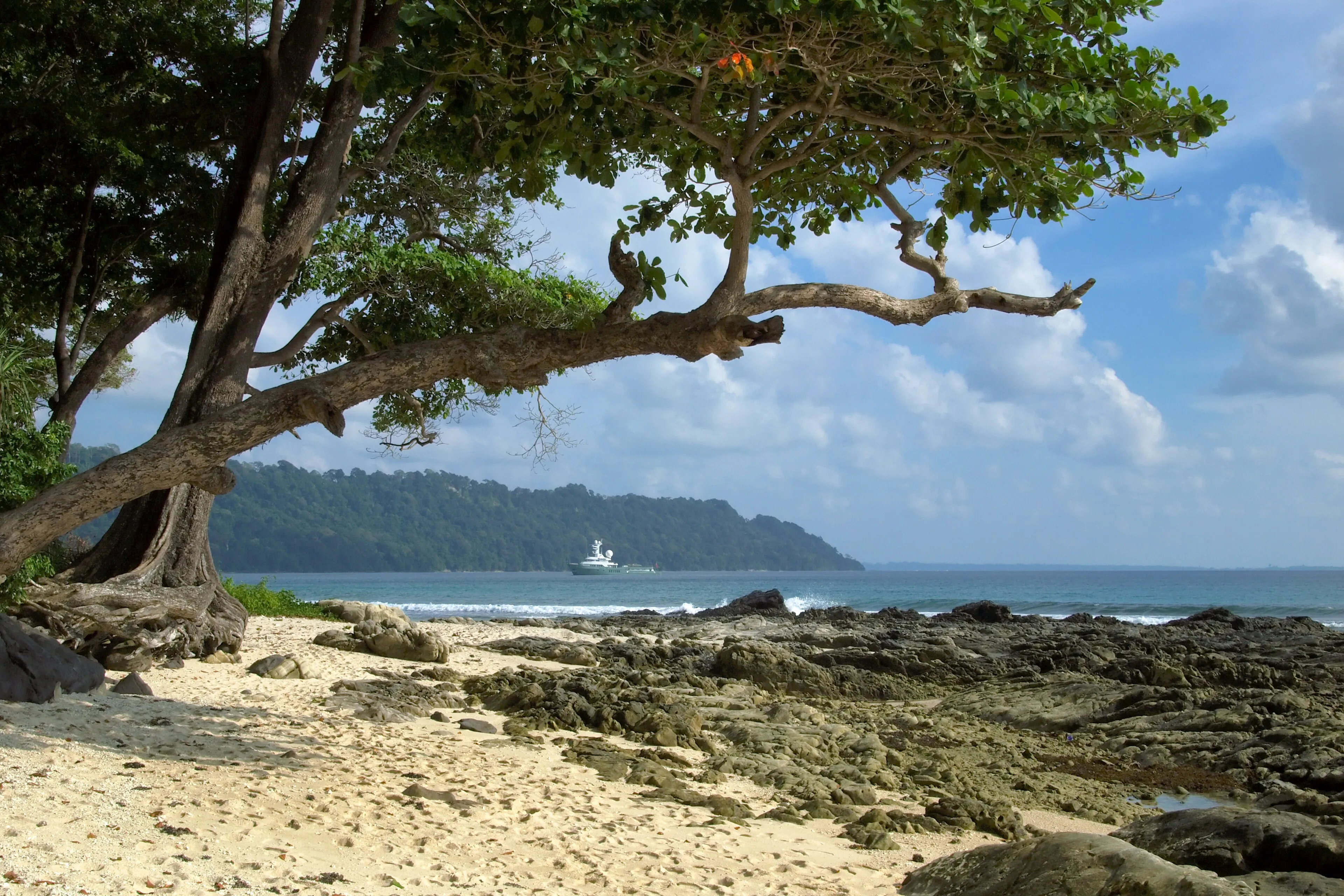Coral reef and marine life in Havelock, Andaman