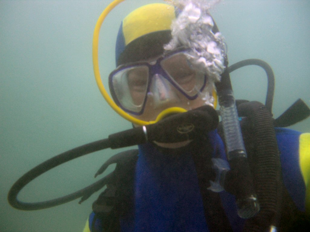 Coral reef and marine life in the waters of Havelock, Andaman