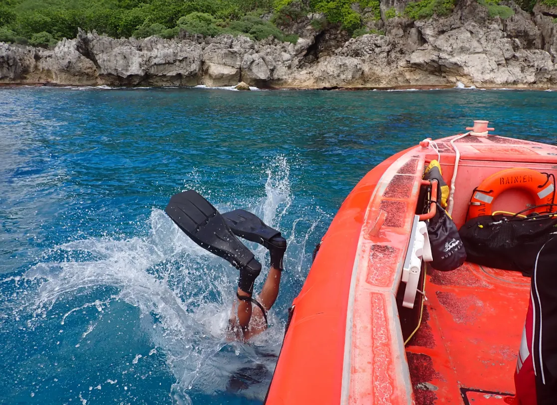South Button dive site — reef and marine life near Havelock, Andaman